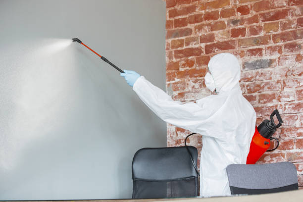 Best Dehumidification Services  in Anderson, SC
