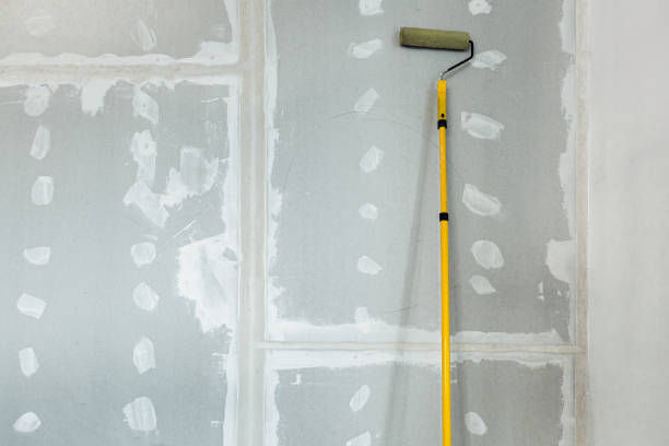 Forensic Mold Investigation in Anderson, SC