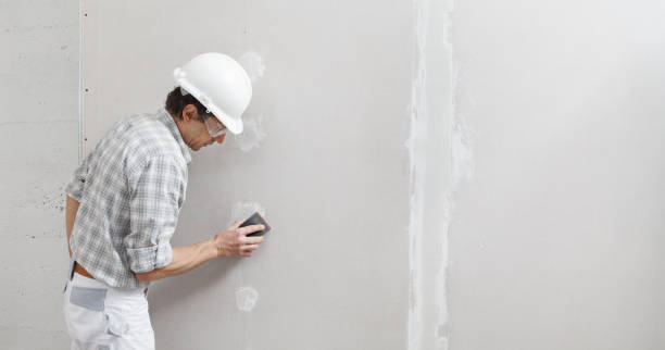Best Comprehensive Air Testing for Mold Contaminants  in Anderson, SC