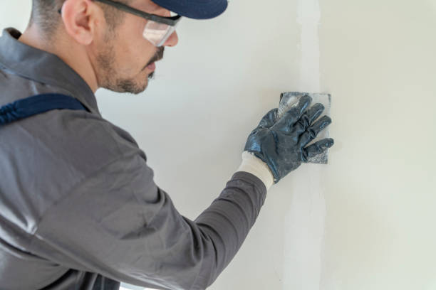  Anderson, SC Mold Removal Pros