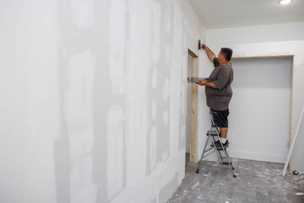 Best Black Mold Removal  in Anderson, SC