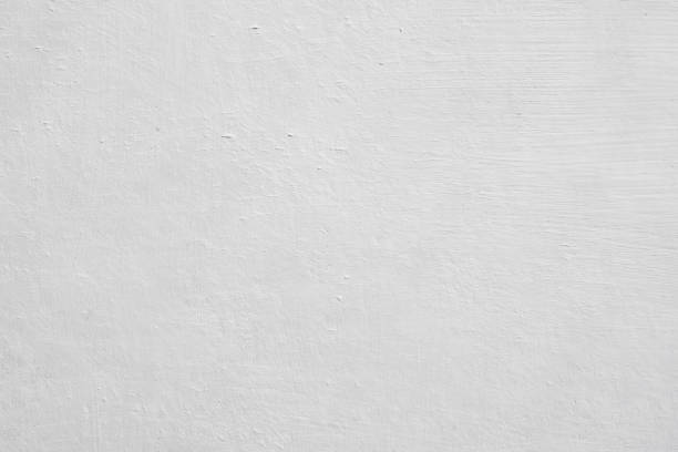 Trusted Anderson, SC Mold Removal Experts