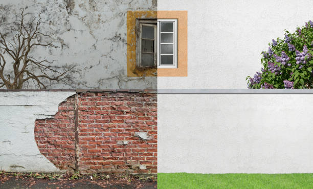 Best Commercial Mold Inspection  in Anderson, SC