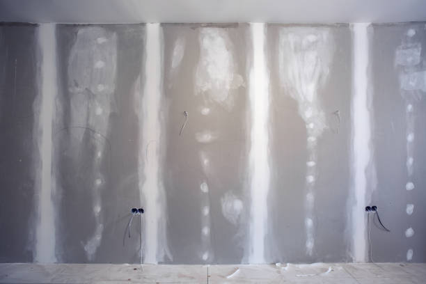 Best Air Quality Testing for Mold Spores  in Anderson, SC