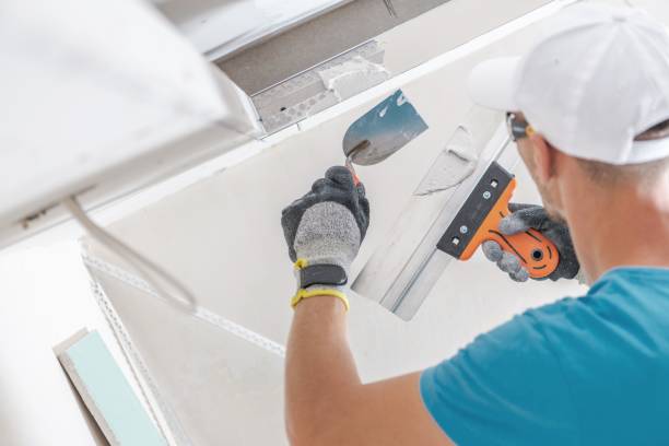 Best Water Damage & Mold Remediation  in Anderson, SC